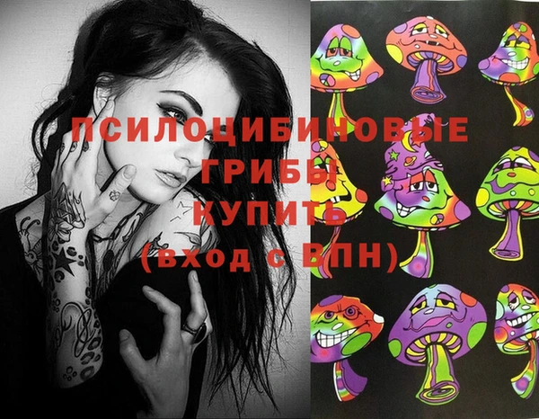 крисы Абинск