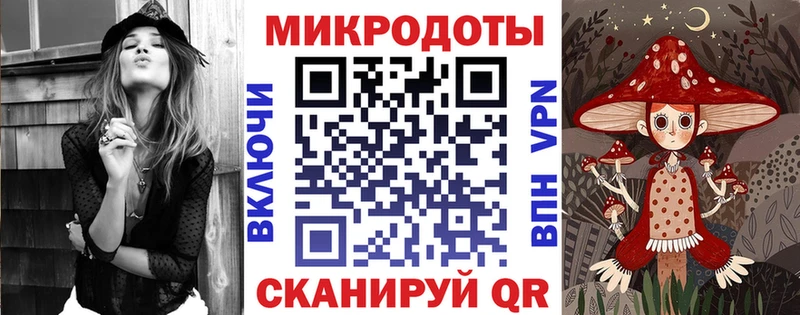 Галлюциногенные грибы Psilocybe  Болохово 